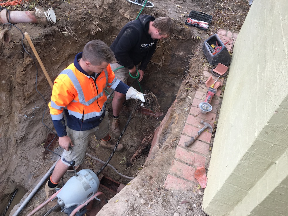 Drain Expert Clearing Blocked Drains