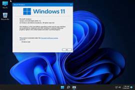 Windows 11 Pro Lite 21H2 Build 22000.318 (x64) November 2021 Nor